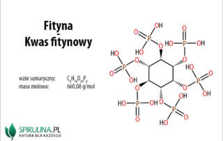 Fityna