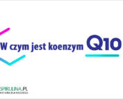 W czym jest koenzym Q10?