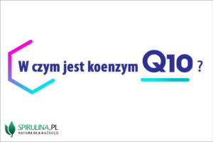 W czym jest koenzym Q10?