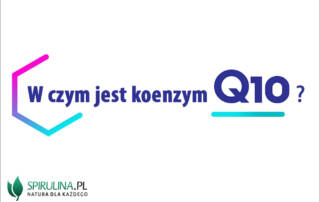 W czym jest koenzym Q10?