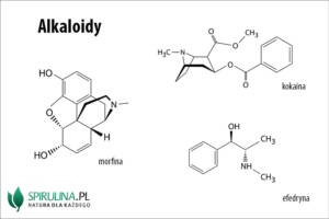 Alkaloidy