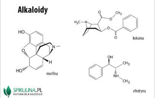 Alkaloidy