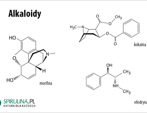 Alkaloidy