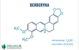 Berberyna