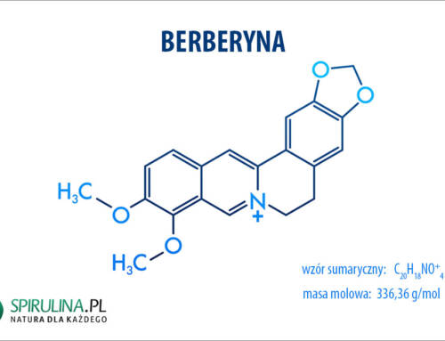 Berberyna
