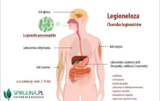 Legionella pneumophila