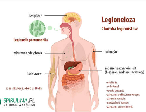 Legionella pneumophila