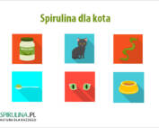 Spirulina dla kota