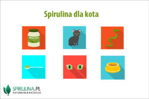 Spirulina dla kota