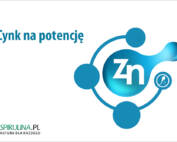Cynk na potencję