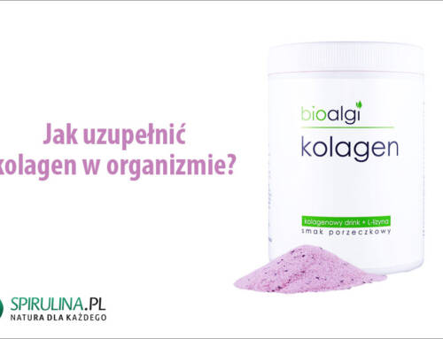Jak uzupełnić kolagen w organizmie?