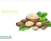 Masło shea