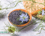 Na jakie choroby jest dobra czarnuszka