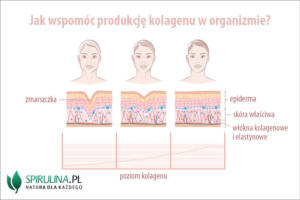 Jak wspomóc produkcję kolagenu w organizmie?