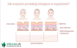 Jak wspomóc produkcję kolagenu w organizmie?