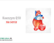 Koenzym Q10 na serce