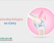 Naturalny kolagen na stawy