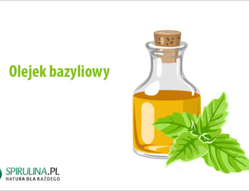 Olejek bazyliowy