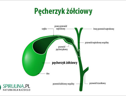 Pęcherzyk żółciowy