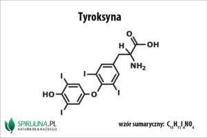 Tyroksyna