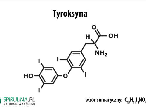 Tyroksyna