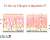 Co niszczy kolagen w organizmie?