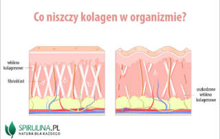 Co niszczy kolagen w organizmie?