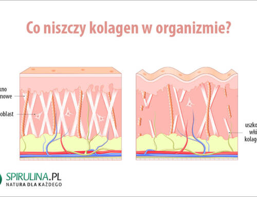 Co niszczy kolagen w organizmie?