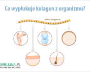Co wypłukuje kolagen z organizmu?