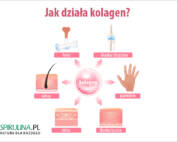 Jak działa kolagen