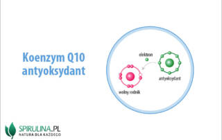 Koenzym q10 antyoksydant