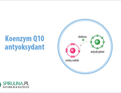 Koenzym Q10 – antyoksydant
