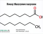 Kwasy tłuszczowe nasycone