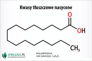 Kwasy tłuszczowe nasycone