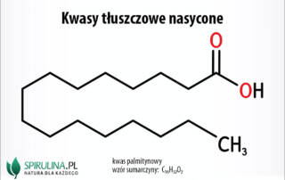 Kwasy tłuszczowe nasycone