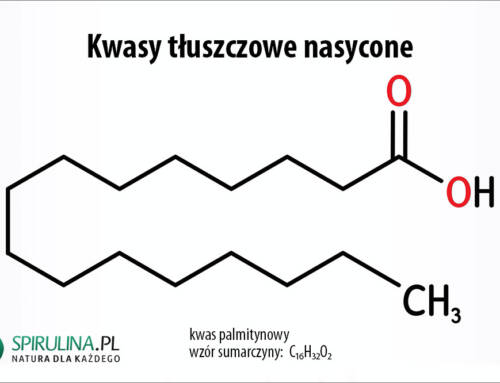 Kwasy tłuszczowe nasycone