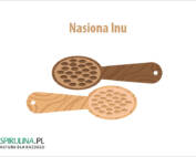 Nasiona lnu
