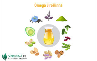 Omega 3 roślinna