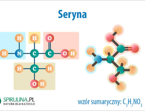 Seryna