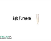 Ząb Turnera
