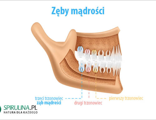 Zęby mądrości