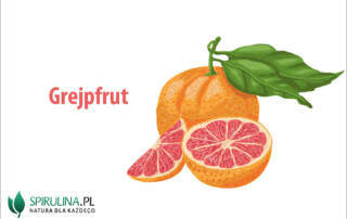 Grejpfrut