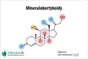 Mineralokortykoidy