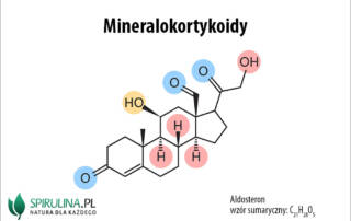 Mineralokortykoidy