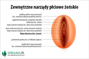 Błona dziewicza