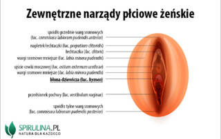 Błona dziewicza