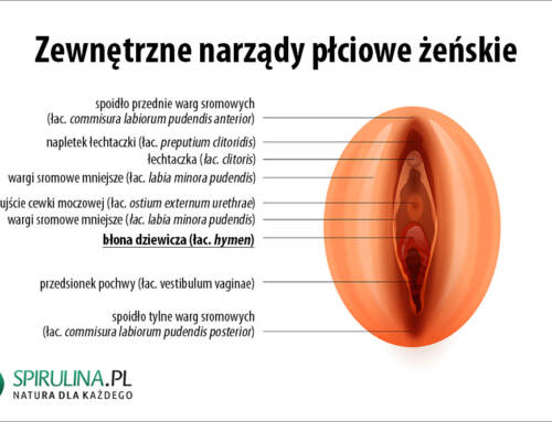 Błona dziewicza