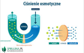 Ciśnienie osmotyczne