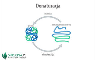 Denaturacja