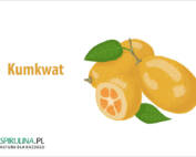 Kumkwat